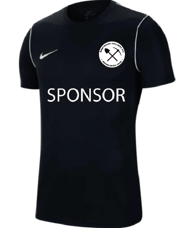 Bestwood Colliery Park 20 Training Top